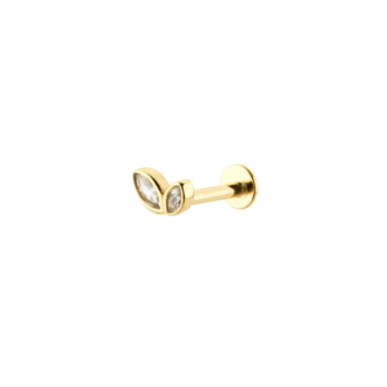 piercing; kolczyki złote; kolczyki piercing; helix, conch; lobe; upper lobe; trgus;
